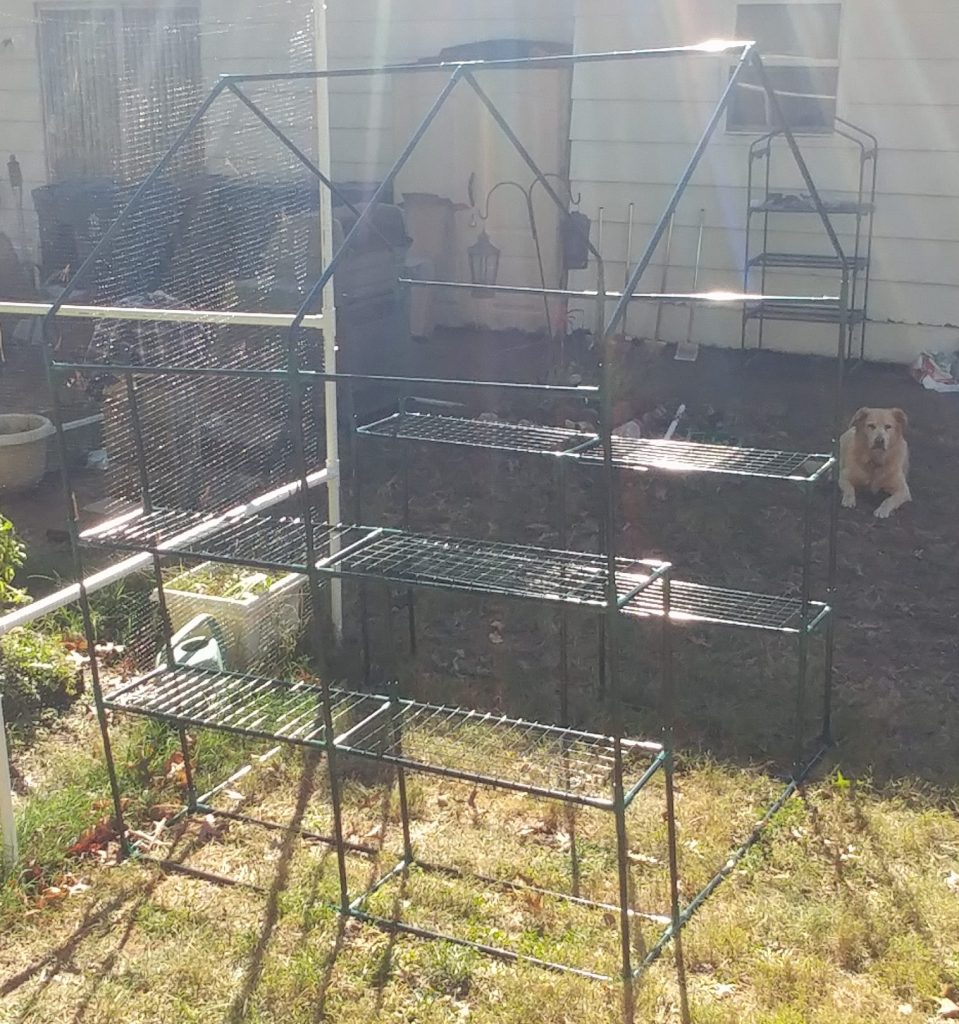 Greenhouse Frame